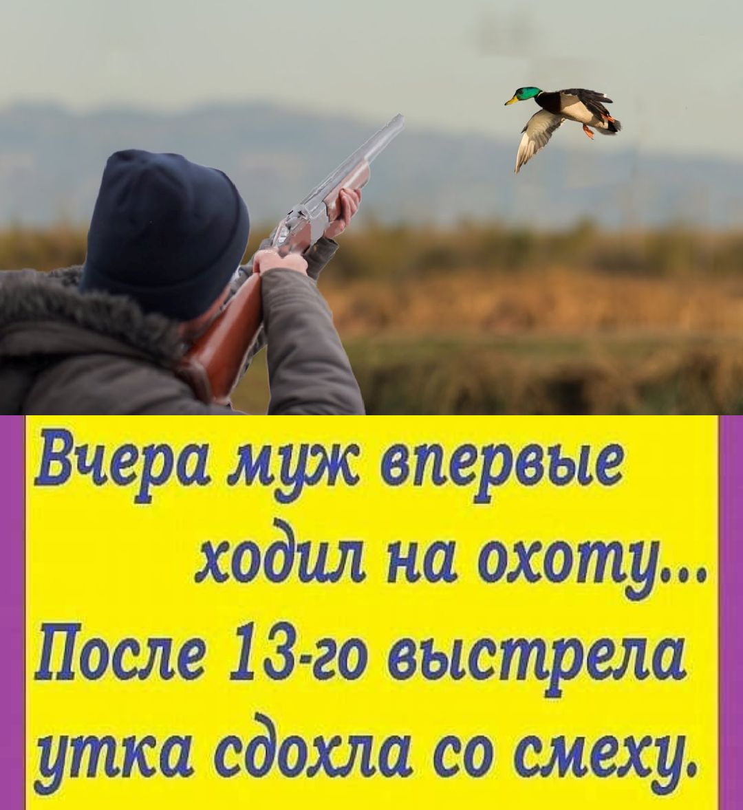 Вчера муж впервые ходил на охоту После 13 го выстрела утка сдохла со смеху