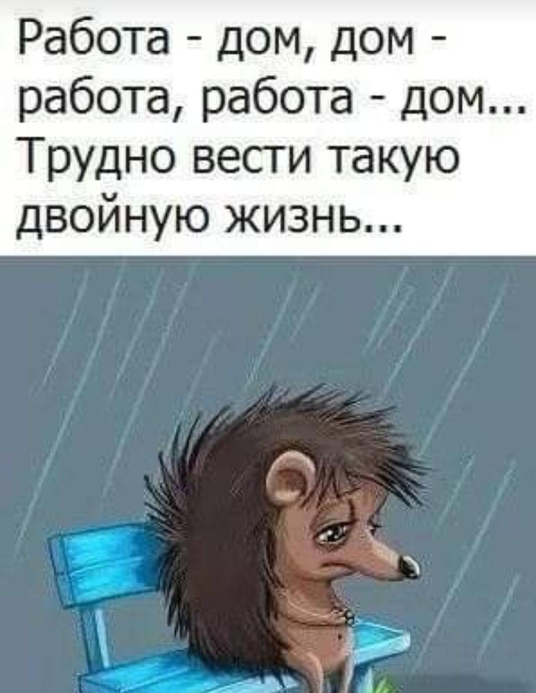 Работа дом дом работа работа дом Трудно вести такую двойную жизнь