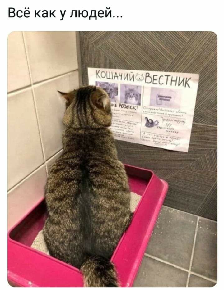 Всё как у людей