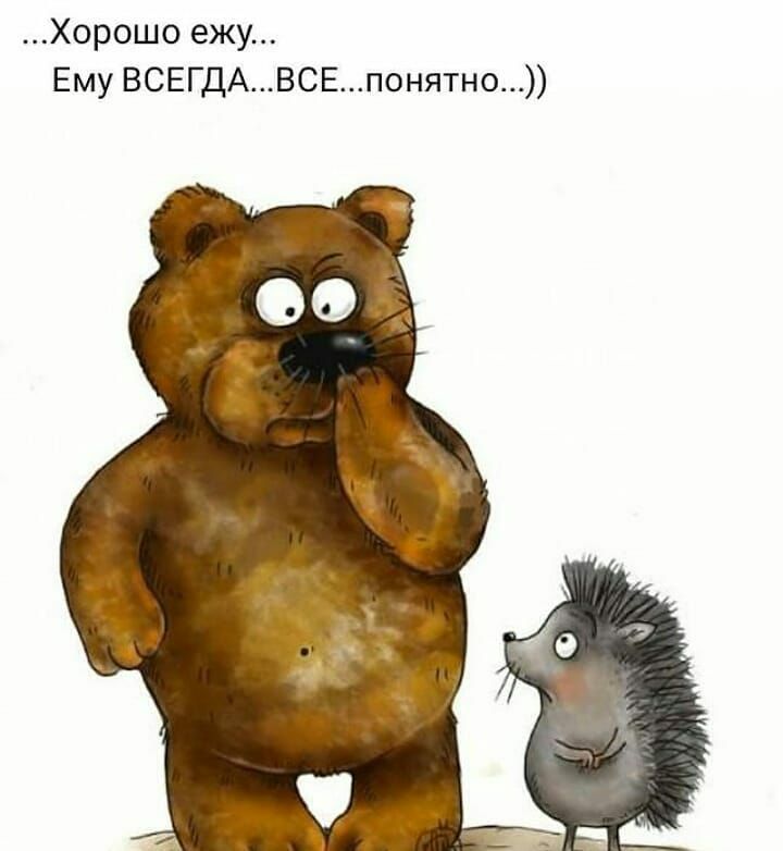 Хорошо ежу Ему ВСЕГдАВСЕпонятно