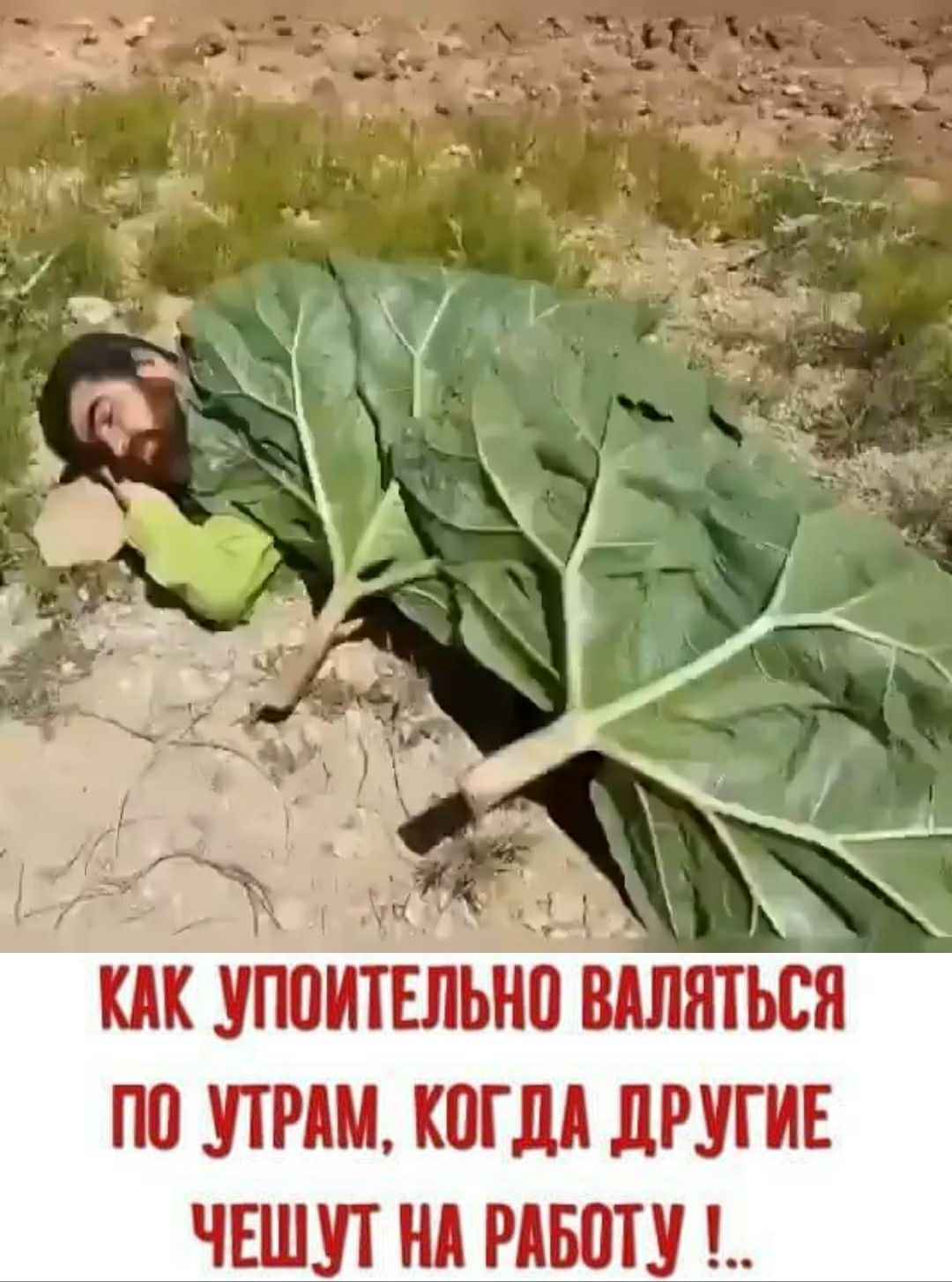упоитвльнп шляться по прям когдд другие чешут нд тату