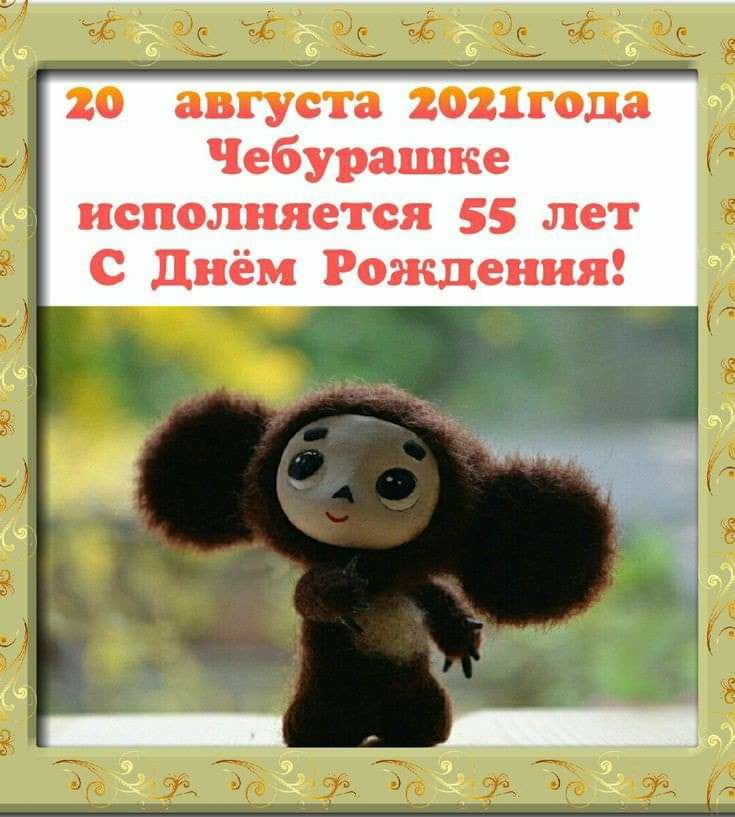 20 августа 2021года Чебурашке исполняется 55 лет с Днём Рождения