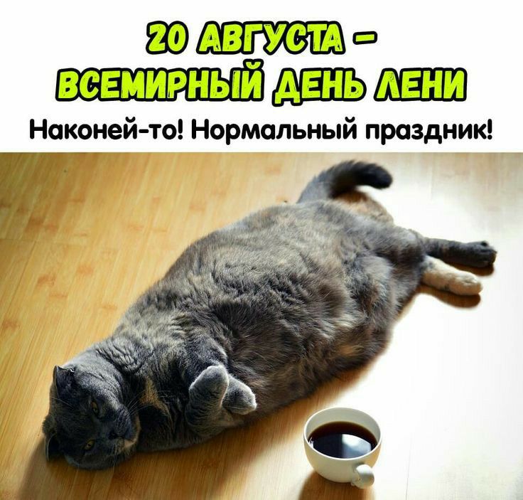 Яд АВГУСТ всемирным Наконей то Нормальный праздник