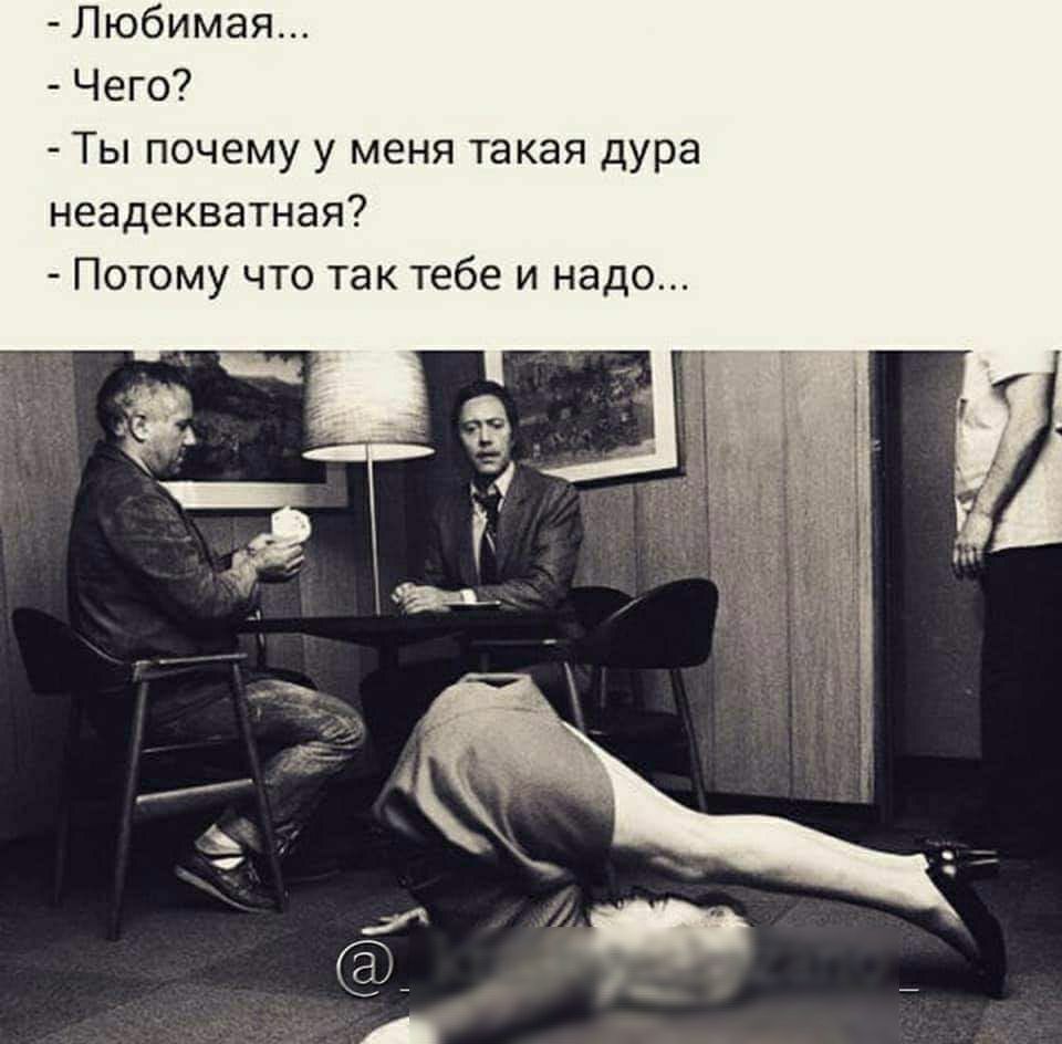 Любимая Чего Ты почему у меня такая дура неадекватная Потому что так тебе и надо