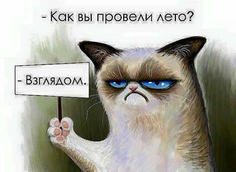 Как вы провехи Аето