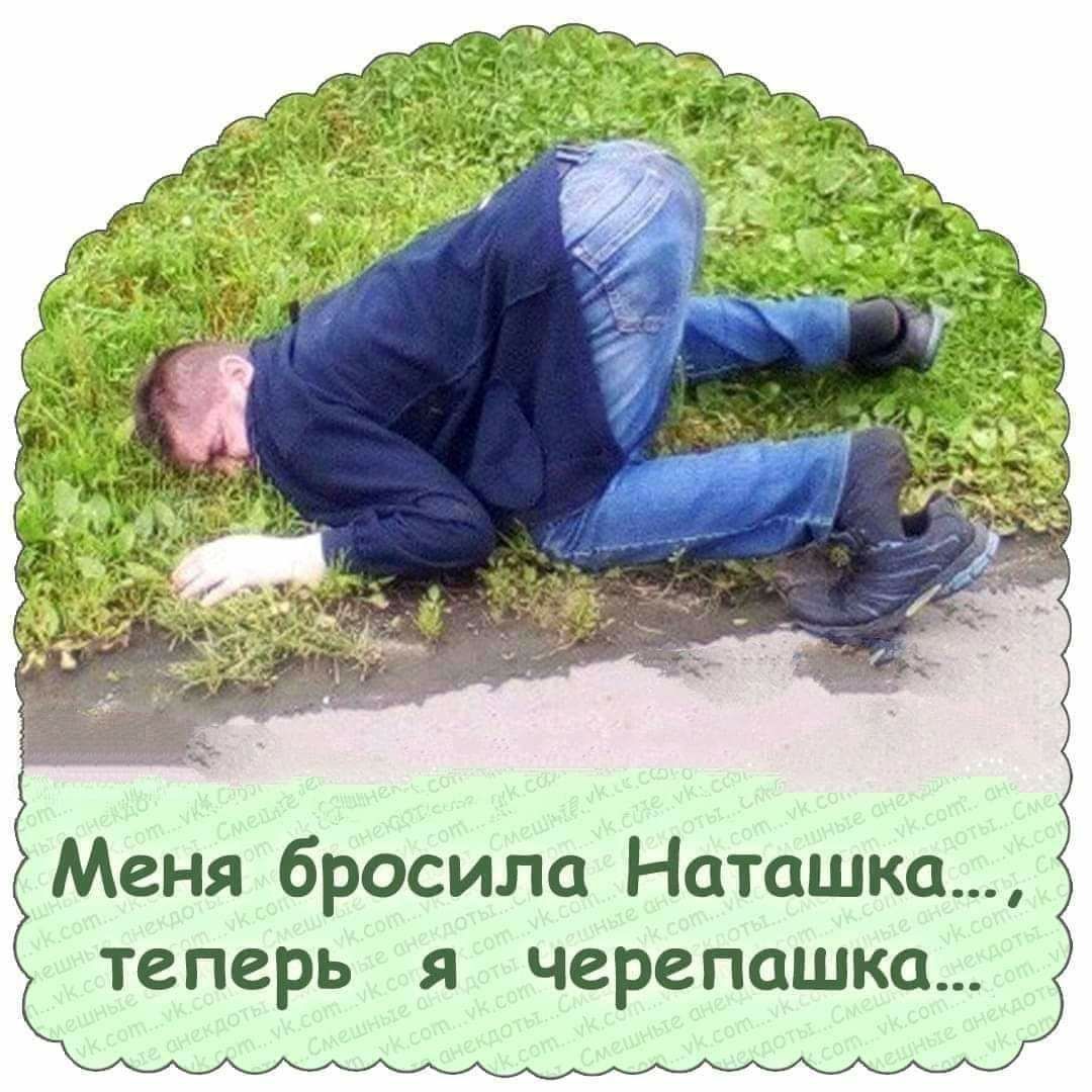 Меня бросила Наташка теперь черепашка