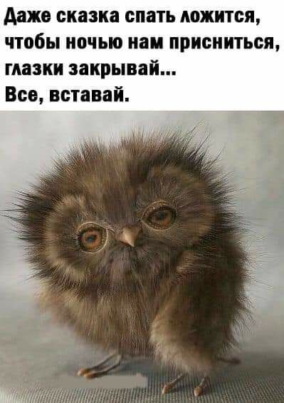 даже сказка спать ложится чтобы ночью нам присниться глазки закрывай Все вставай