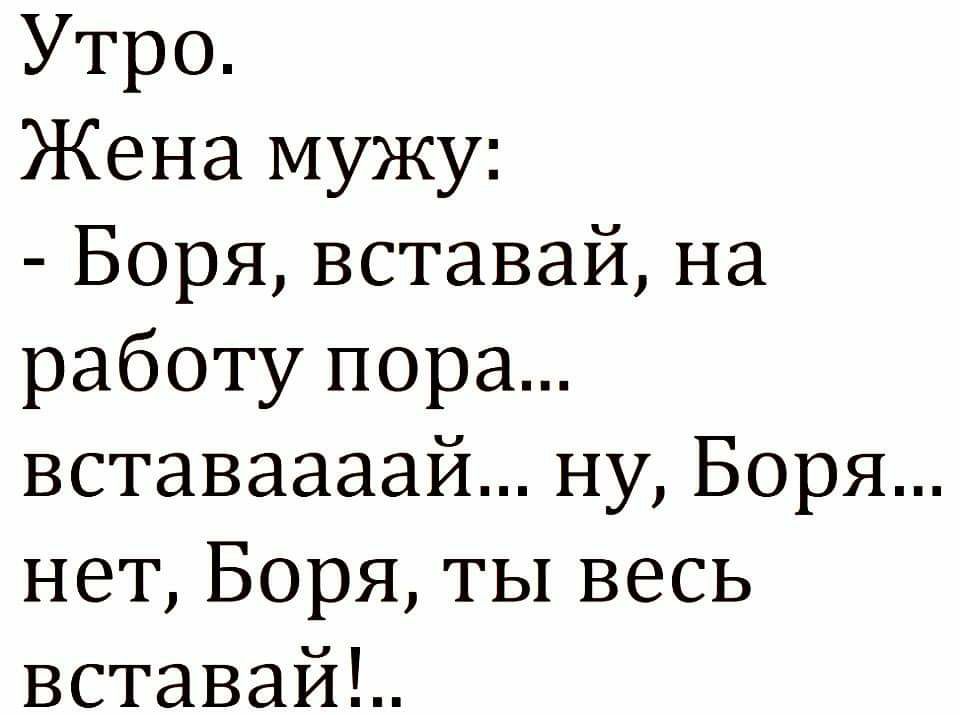 Утро Жена мужу Борявставайна работупора вставаааайнуБоря нетБоряТЬ1весь вставайд