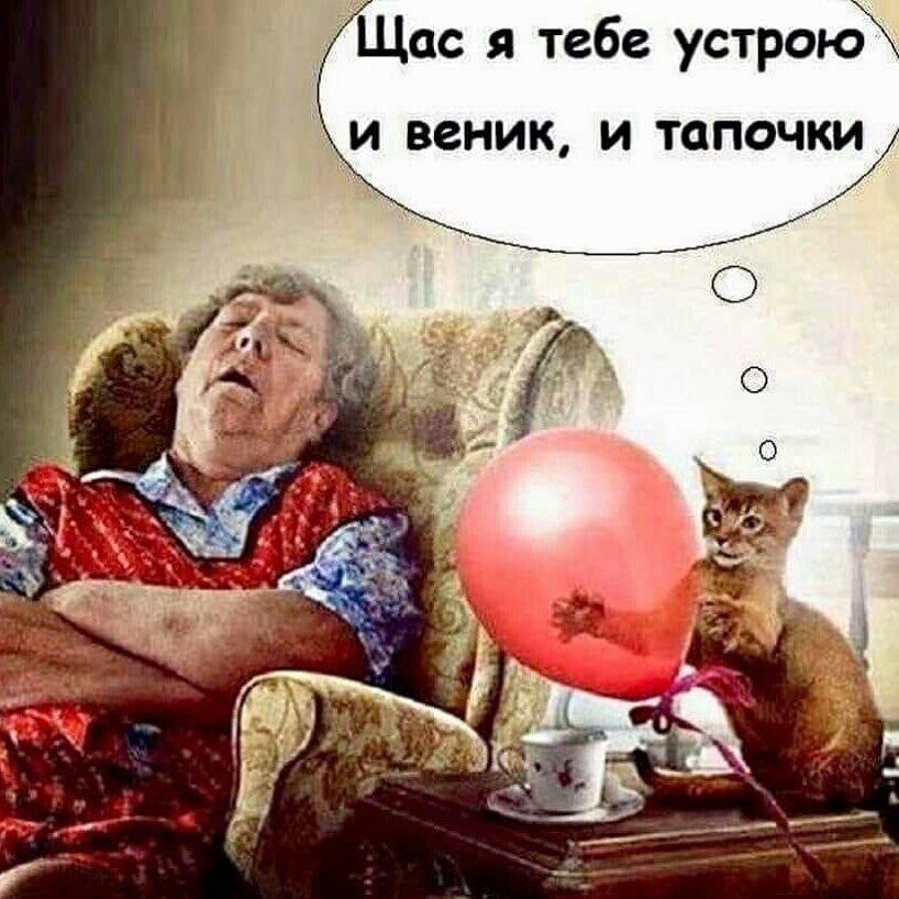 0 Щас я тебе устрою и веник и тапочки