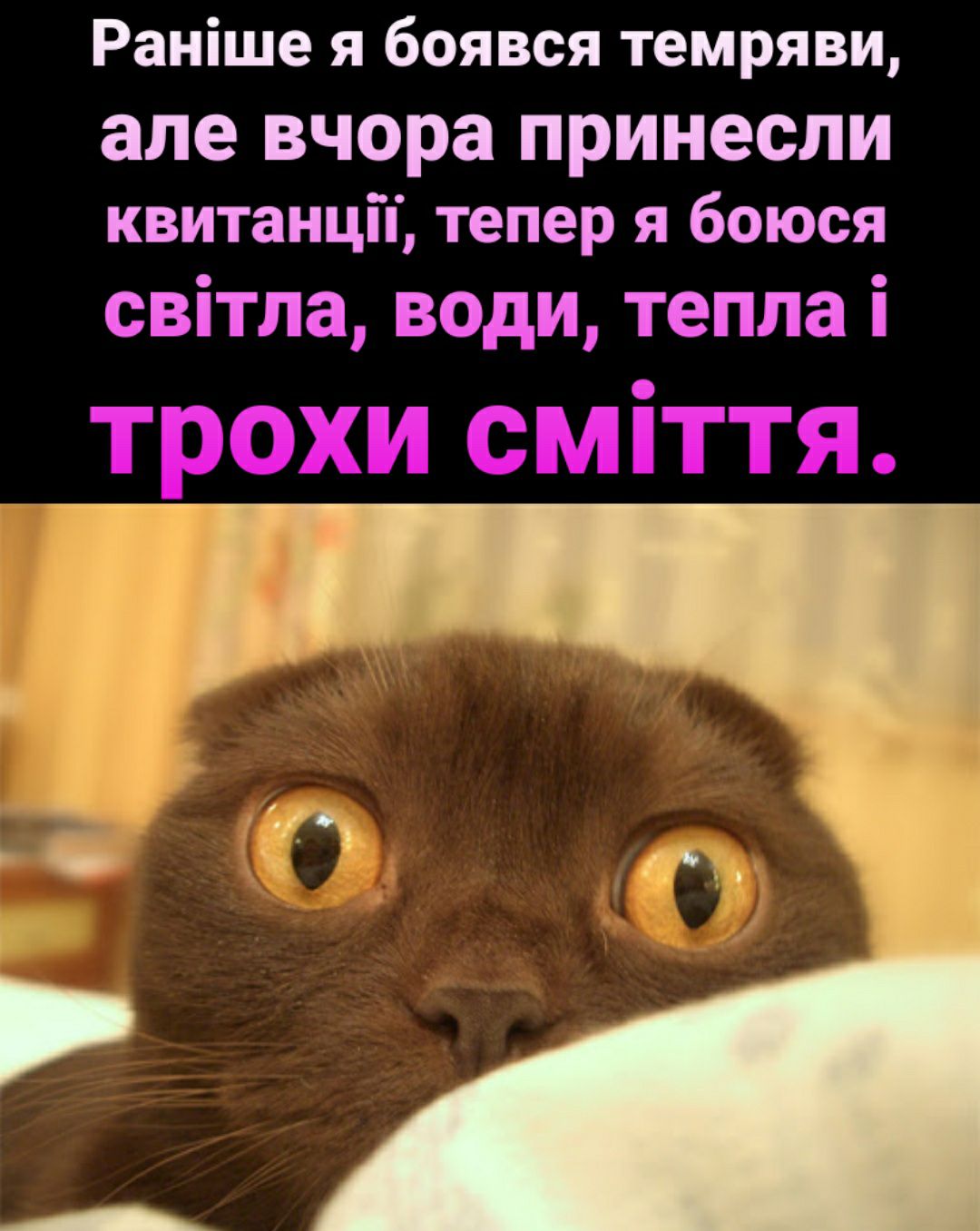 Раніше я боявся темряви але вчора принесли квитанцй тепер я боюся світла води тепла і тохи сміття