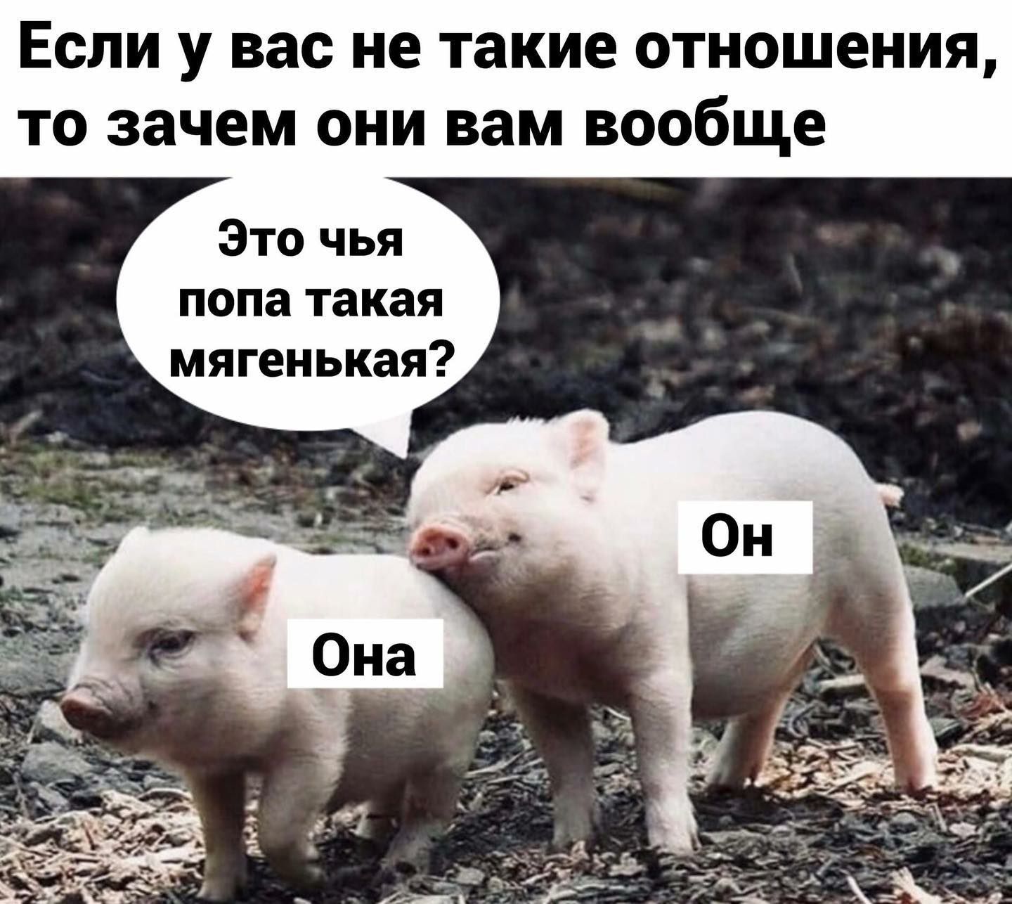 Если у вас не такие отношения то зачем они вам вообще Это чья попа такая мягенькая