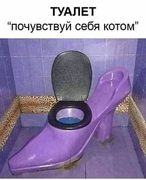 ТУАЛЕТ почувствуй себя котом