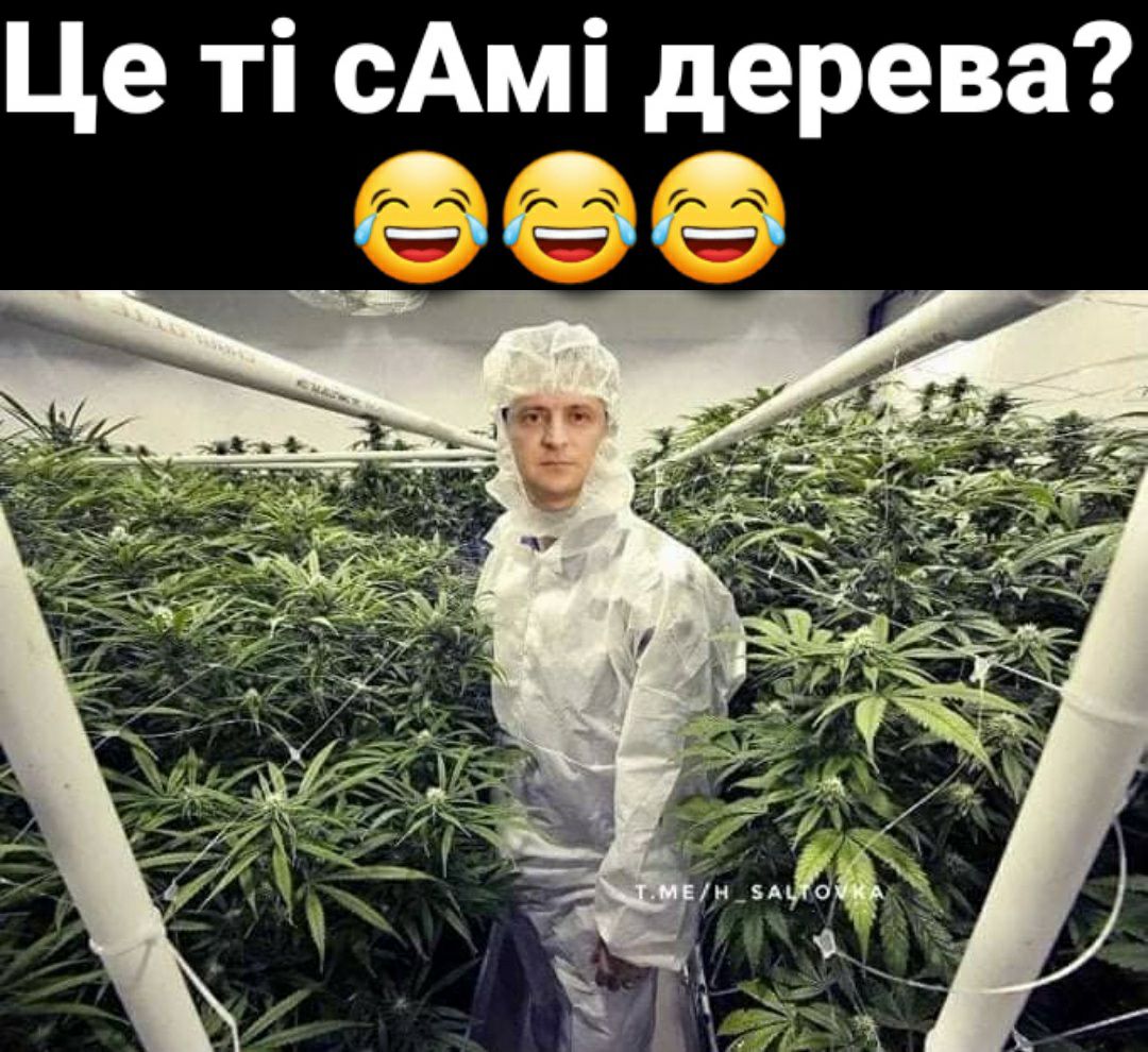 Це т! Сам! Дерева? Ль » я ее е ее