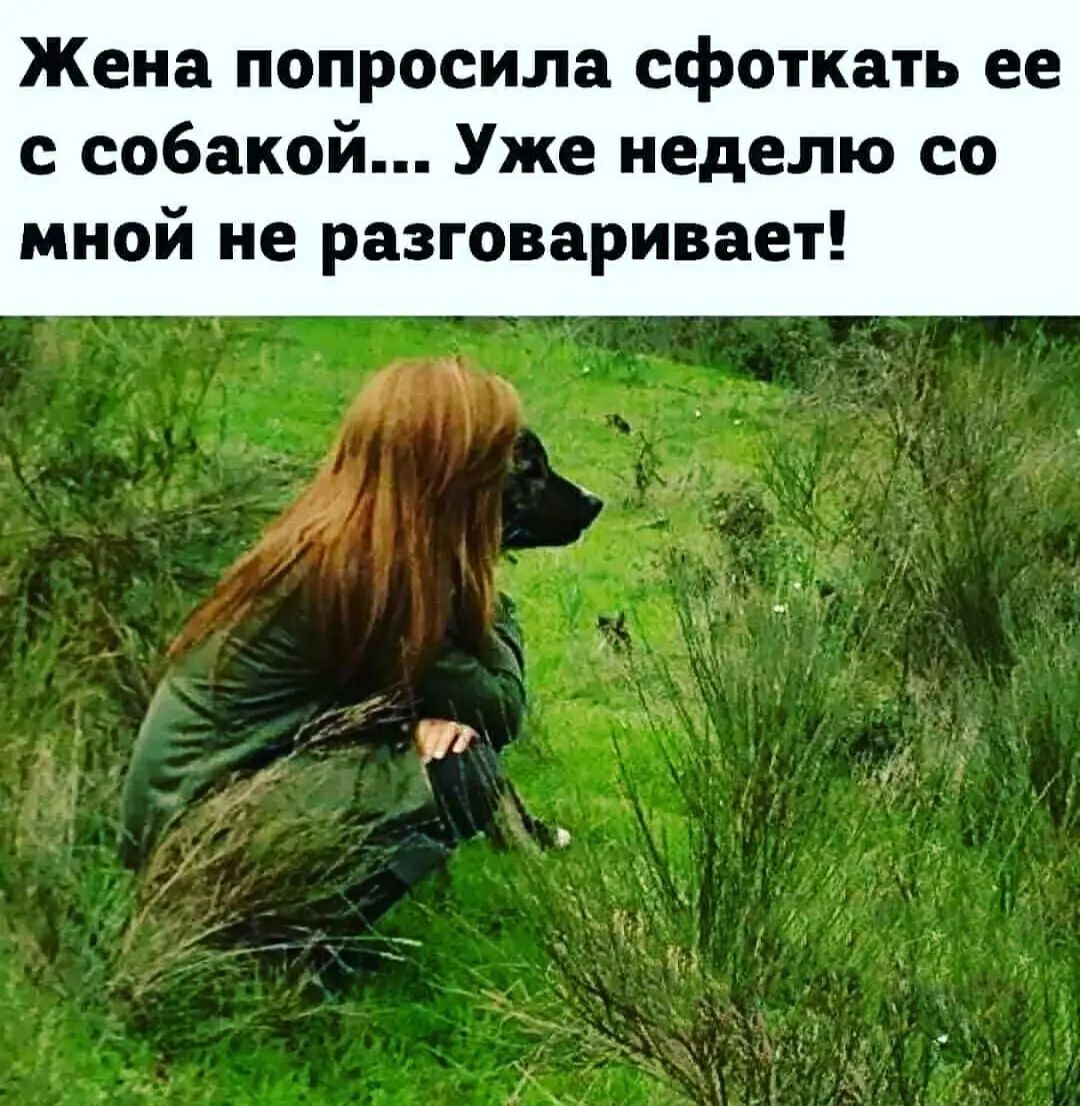 Жена попросила сфоткать ее с собакой Уже неделю со мной не разговаривает