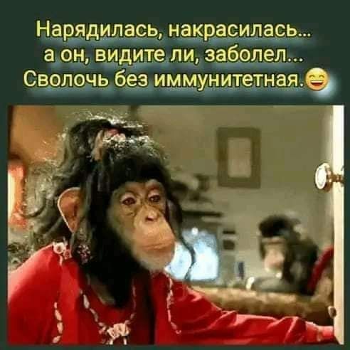Нарядилась накраёилась адон видителддза ОЛЭЛ СВОПОЧЬ без ИММУН итетн ая іцщдц 111