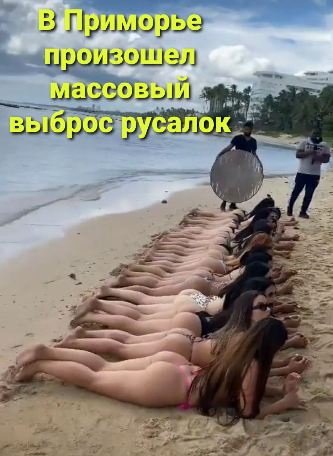 _ 33 Г _л ЩО З Шш _ _ щ 333153