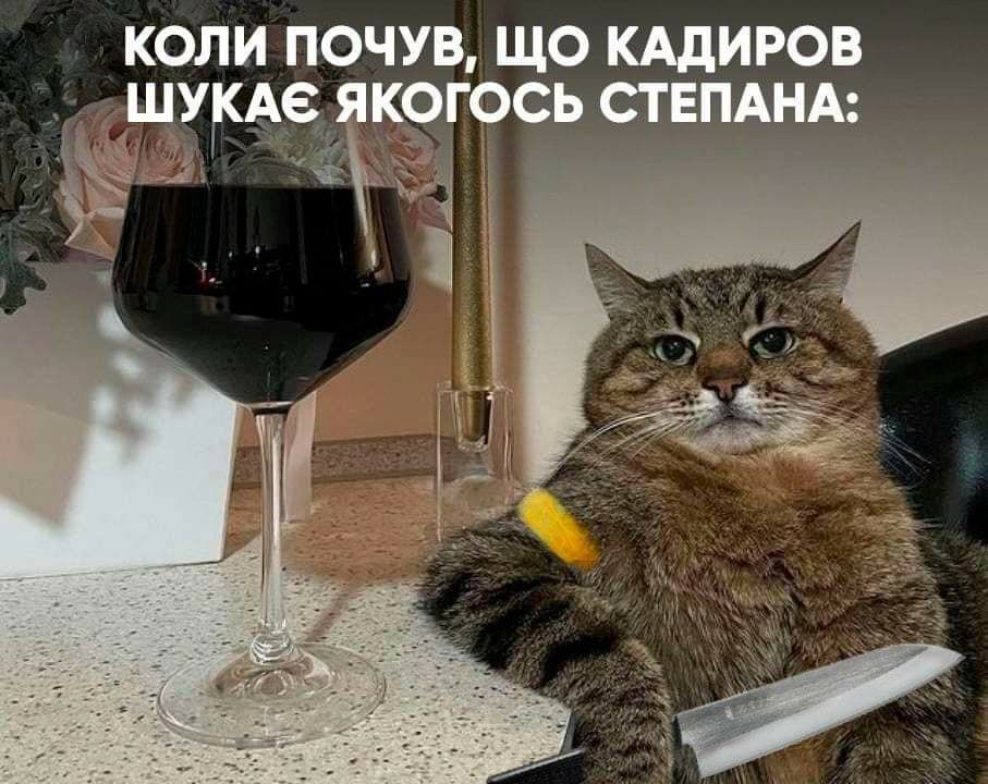 КОЛИ ПОЧУВ ЩО КАдИРОВ ШУ Ае ЁКОГОСЬ СТЕПАНА ЁЁ