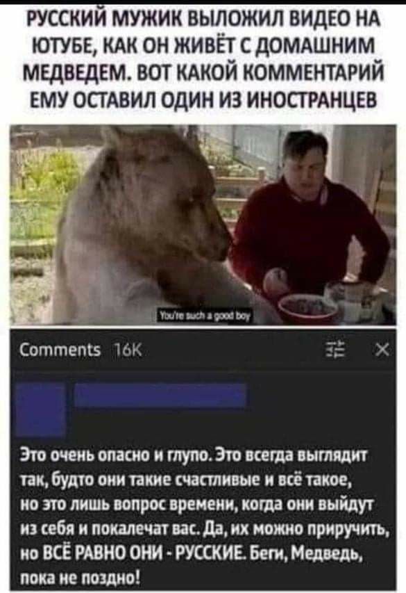 русский мужик выложил видно НА ютувв кдк он живёт с домдшним медввдвм вот КАКОЙ коммвтдрий ему осгАвил один из ИНОСТРАНЦЕВ Соттепіз тг Это очень опасно и глупо Это всегда вытпдит так будто они шкив тишине и всё такое но зто лишь вопрос времени когда они выйдут из себя и пошечат васда их можно приручить ио ВСЁ РАВНО ОНИ РУССКИЕ Беги Медведь пока ие поздно