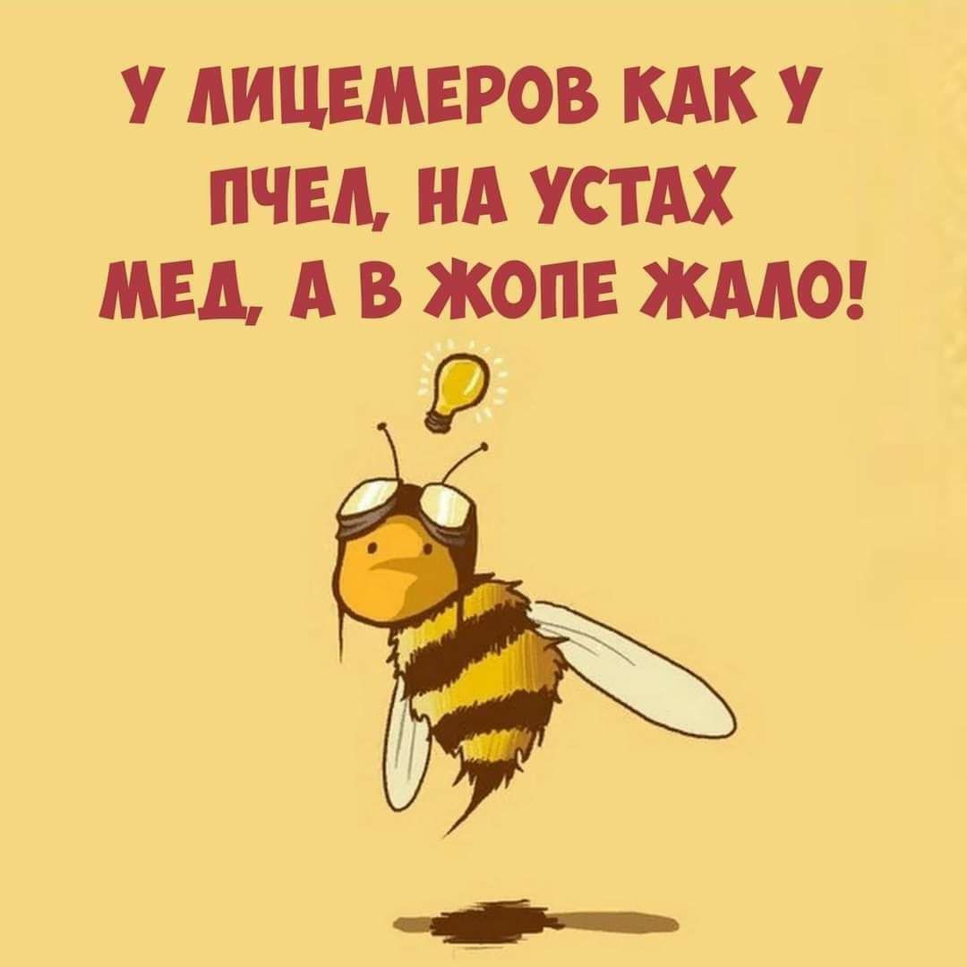 У АИЦЕМЕРОВ КАК У ПЧЕА НА УСТАХ МБА А В ЖОПЕ ЖААО