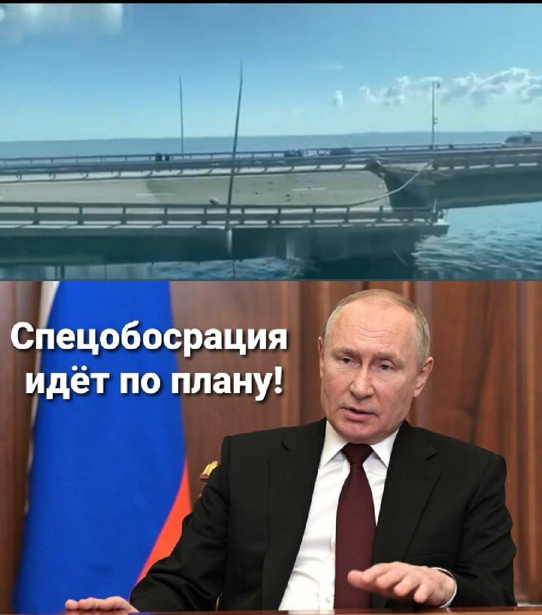 с ецобосрация идёт по плану