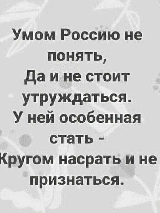 Умом Россию не понять да и не стоит утруждаться У ней особенная стать Кругом насрать и не признаться