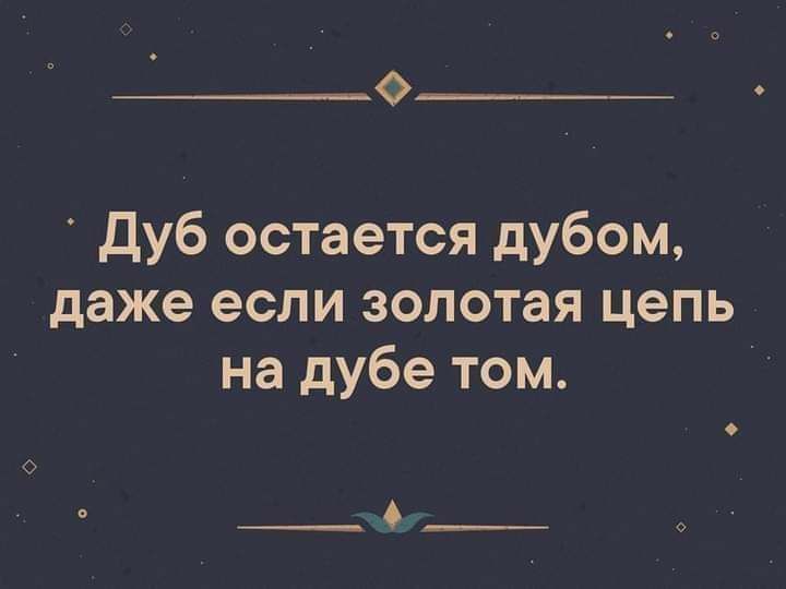 О Дуб остается дубом даже если золотая цепь на дубе том __0