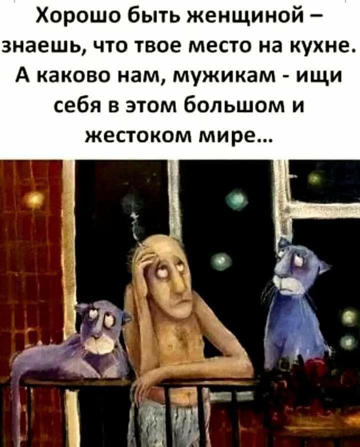 Хорошо быть женщиной знаешь что твое место на кухне А каково нам мужикам ищи себя в этом большом и жестоком мире