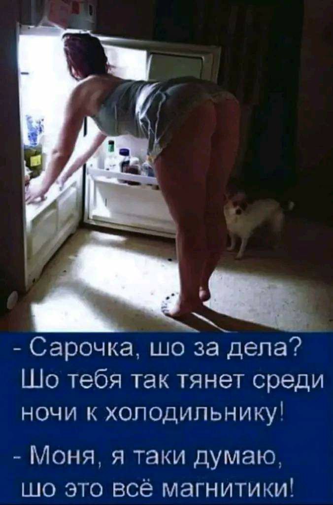 _ Сарочка шо за дела Шо тебя так тянет среди ночи к холодильнику Моня я таки думаю шо это всё магнитики