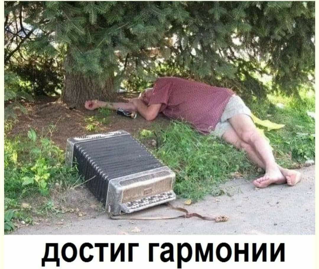 дОСТИГ гармонии