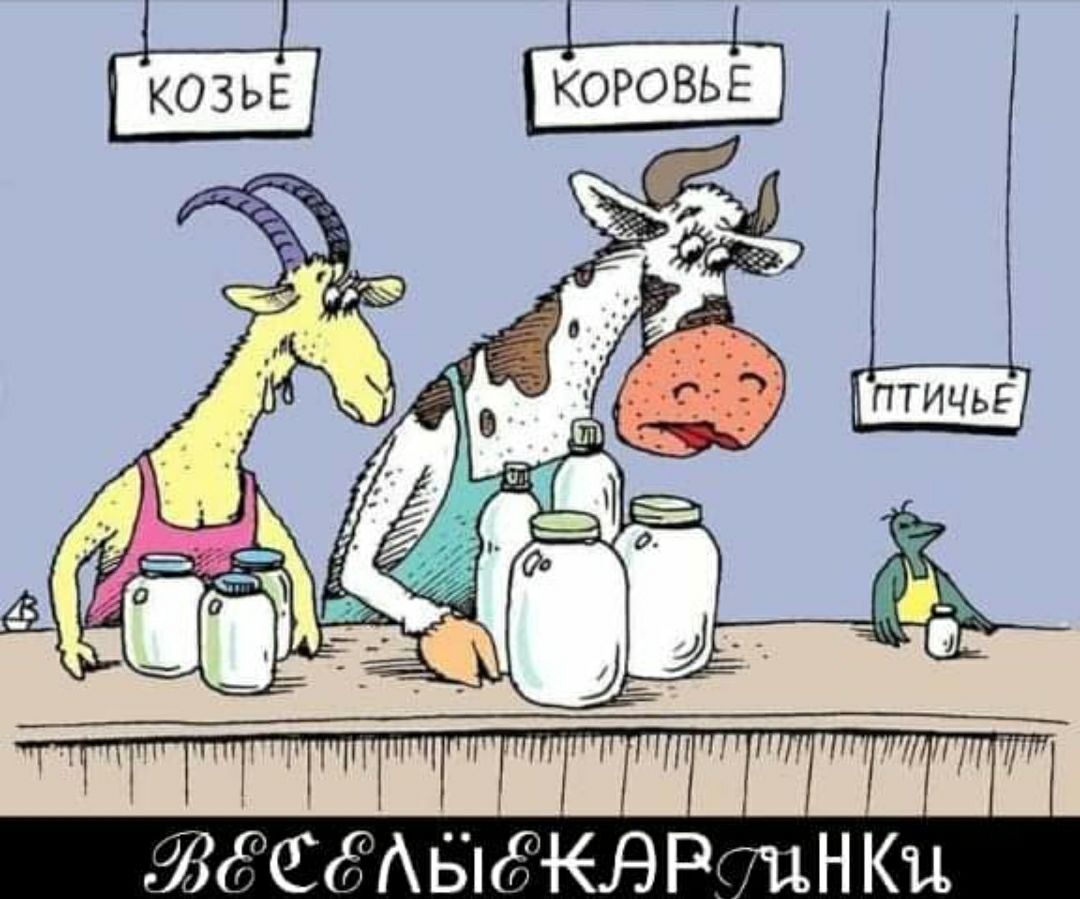 ЬЙСЖАЫКВР ЦНКи