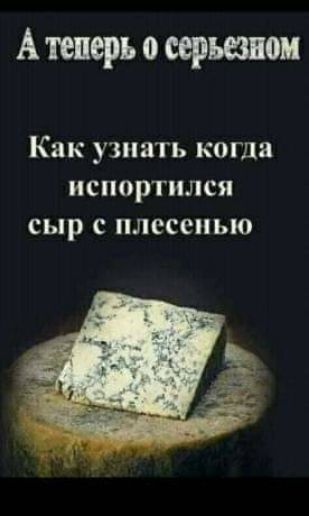 А теперь о серьезном Как узнать когда испортился сыр с плесенью