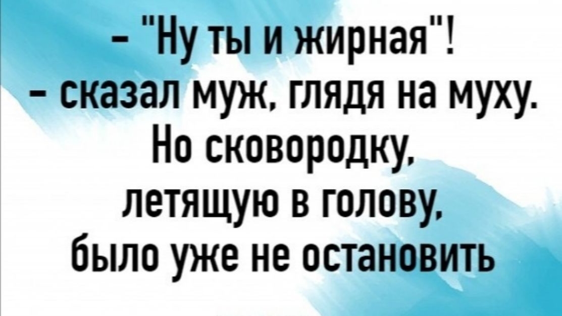 Ну ты и жирная сказал муж глядя на муху Но сковородку летящую в голову было уже не остановить