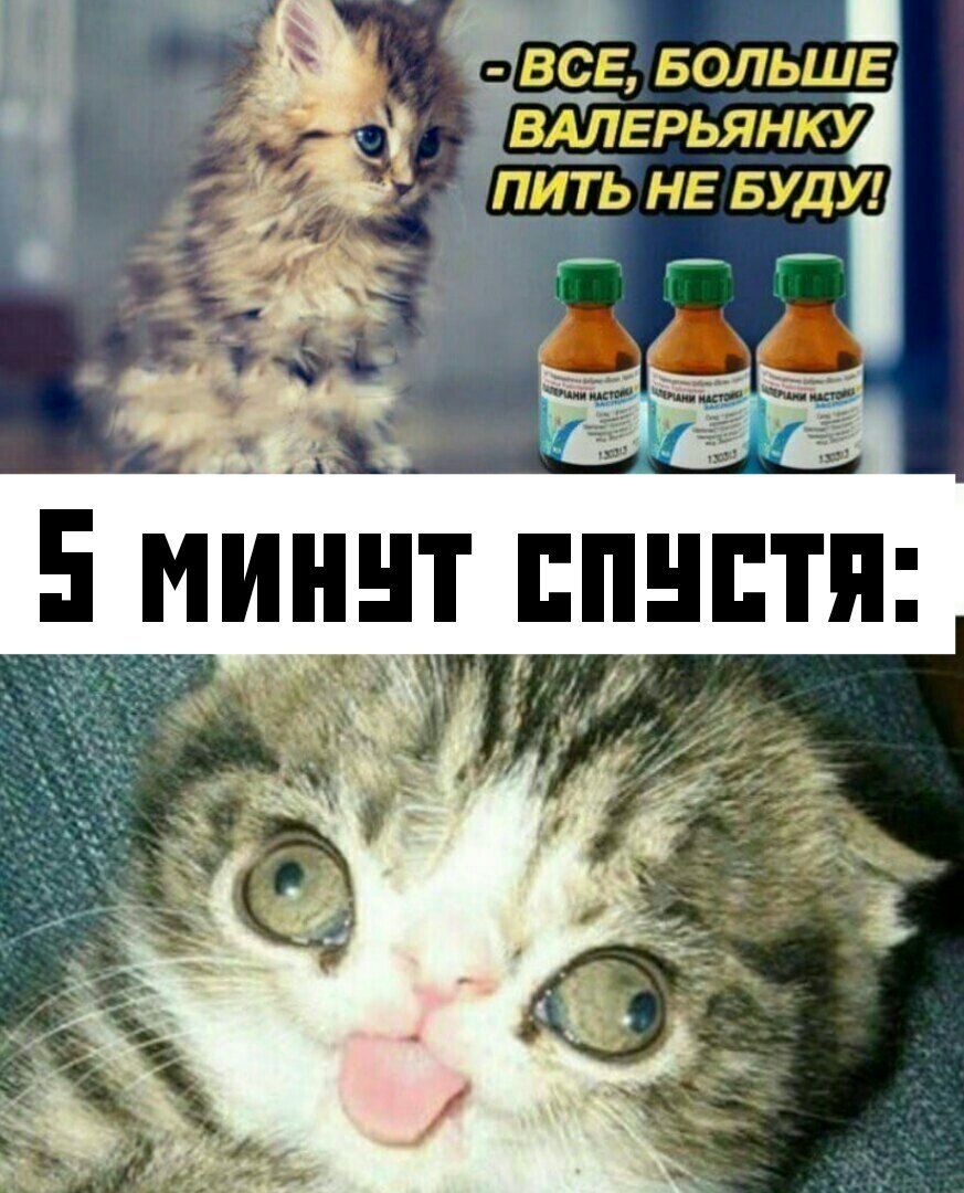 ИИНТ ЕПНЕТП