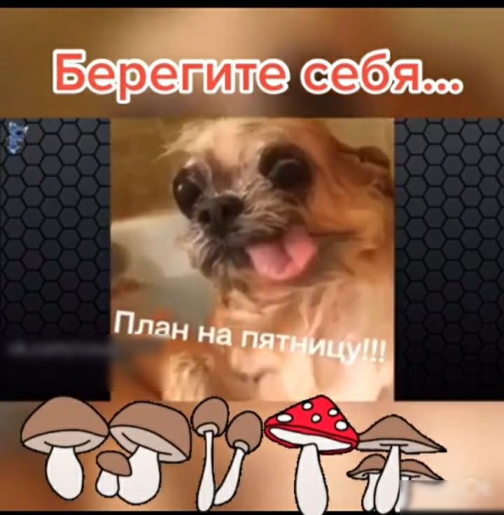 Берегите