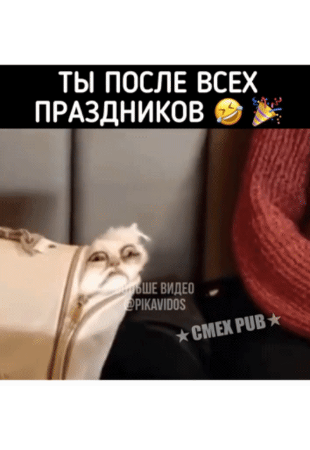 ТЫ ПОСЛЕ ВСЕХ_ ПРАЗДНИКОВ 9
