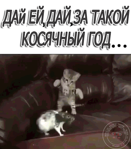 й ЕИДАИ ЗА ТТАКОЙ