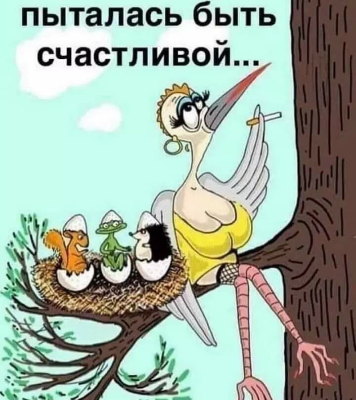 пыталась быть счастливой Му г и