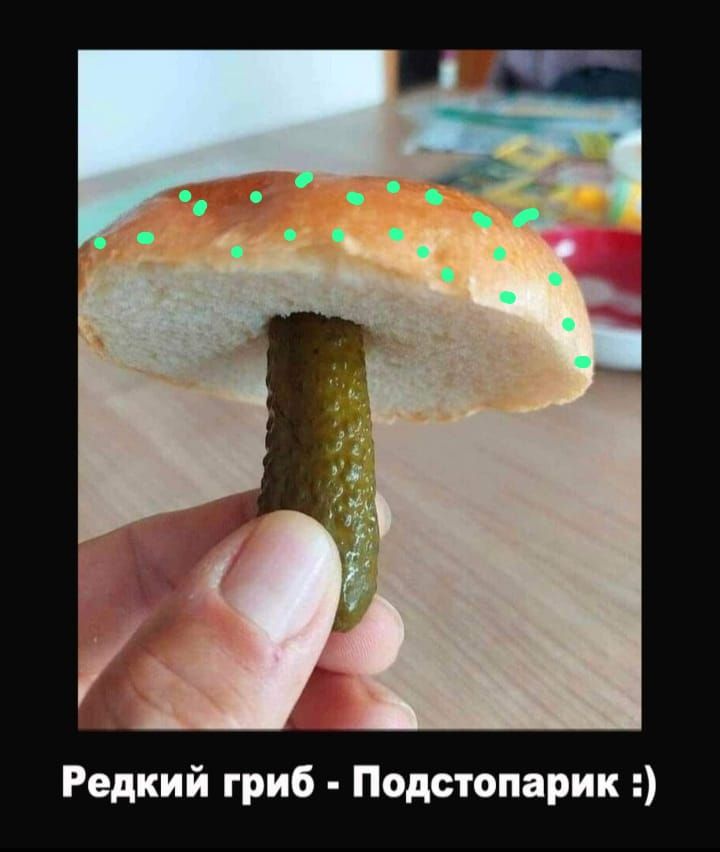 Редкий гриб Подстопарик