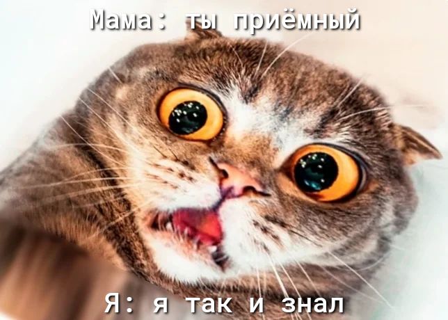 Маша а приёмный