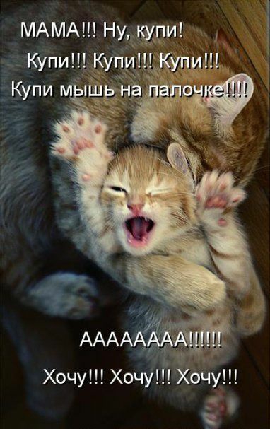 ХочуХочуХочу р