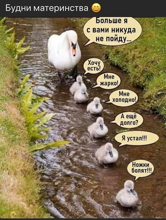 БУДНИ МЭТЭРИНСТВЭ _ с нами никуда не пойду