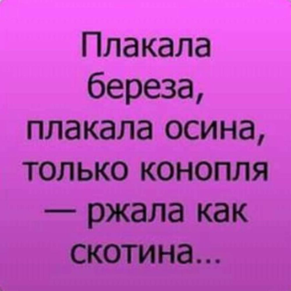 Плакала береза плакала осина только конопля ржала как скотина