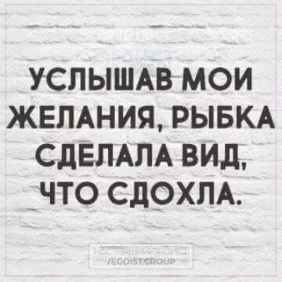 успышв мои жвлдния РЫБКА СдЕЛАЛА вид _что сдохпА