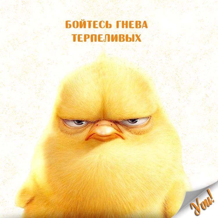 БОЙЕСЬ ГНЕВА ТЕРПЕЛИВЫХ