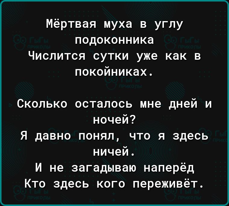 Мёртвая муха в углу ПОДОКОННИКЗ ЧИСПИТСЯ СУТКИ уже как В покойниках Сколько осталось мне дней и ночей Я давно понял что я здесь ничей И не загадываю наперёд Кто здесь кого переживёт