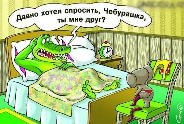 тп спроси ть давно