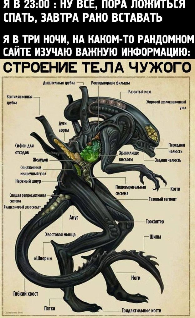 СПАТЬ ЗАВТРА РАНО ВЕТАВАТЬ Я В_ ТРИ НОЧИ НА КАНОН ТО РАНдОМНВМ САИТЕ ИЗУЧАЮ ВАШНУЮ ИНФОРМАЦИЮ СТРОЕНИЕ ТЕЛА ЧУЖОГО ша ш гм