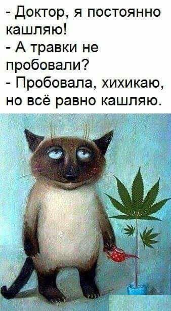 - Доктор, я постоянно кашляю!
- А травки не пробовали?
- Пробовала, хихикаю, но всё равно кашляю.