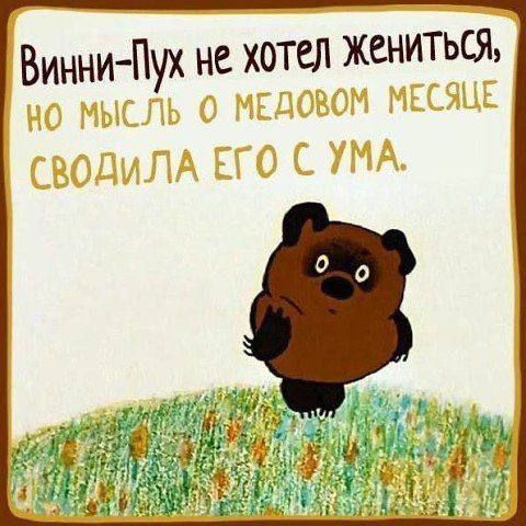 Винни-Пух не хотел жениться, но мысль о медовом месяце сводила его с ума.