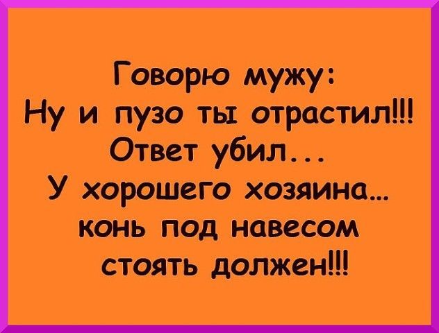 Говорю мужу Ну и пузо ты отрастил Ответ убил У хорошего хозяина конь под навесом стоять должен